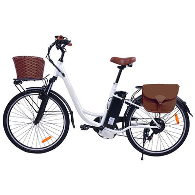 250W Electric Assist Cargo Bike, KMC Chain Urban City Electric Bike
